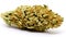 Medical marijuana flower bud. Close up cannabis flower on white backdrop. Generative AI