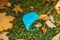 Medical mask on the ground in the grass and maple leaves. A used blue disposable medical mask was thrown to the ground.