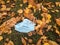 Medical mask on the ground in the grass and yellow leaves.