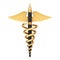 Medical Publication Concept. Golden Fountain Writing Pen as Gold Medical Caduceus Symbol. 3d Rendering