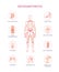 Medical scheme of osteoarthritis joint damage, flat vector illustration isolated.