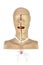 Medical simulation training Tracheostomy surgical patient treatment procedure medical white background with cipping path