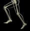 Medical skeleton in running motion