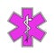Medical Star of Life Purple and White