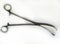 Medical Surgical Instrument Vulsellum Forceps Using For Obstetrics And Gynecology Procedure