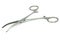 Medical tool, The curved artery forceps on the white background