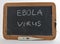 Medical training ebola virus