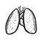 Medical vector illustration lungs. Hand drawn black and white color flat style.