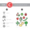 Medical vitamin C source infographics
