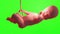 medically accurate Human fetus inside the womb, Baby, Green background