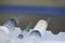 Medications in the syringes and needles for anesthesia