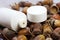 Medicinal cream and acorns, natural cosmetics