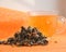 medicinal herb sagan daila and healing tea   orange background  Rhododendron of Adamsia