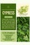 medicinal herbs benefits - herbalist advise - Cypress