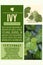 medicinal herbs benefits - herbalist advise - Ivy