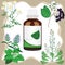 Medicinal herbs with bottle, vector illustration