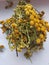 Medicinal herbs. Tansy. Dry grass. Yellow dried flowers