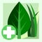Medicinal herbs. Vector. Natural traditional medicine. Banner, graphic button for the site menu. Symbol of medicinal plants for th