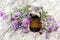 Medicinal plant Centaurea jacea and pharmaceutical bottle