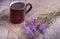 Medicinal plant chicory: flowers. The roots of the plants are used as a substitute for coffee. Drink from chicory in a