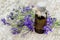 Medicinal plant Consolida regalis (Forking Larkspur) and pharmaceutical bottle