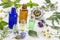 Medicinal plant and flower selection , peppermint, passiflora,, sage, thyme, lavender lemon balm with an aromatherapy