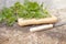 Medicinal plant nettle fresh on a cutting board