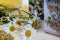 Medicinal plant - the stems and flowers of the medicinal chamomile