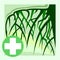 Medicinal roots. Vector. Natural traditional medicine. Banner, graphic button for the site menu. Symbol of medicinal plants for th