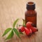 Medicinal Rose hips with essential oil