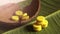 Medicinal yellow capsules on coconut shell, natural medicine
