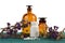 medicine bottles on wooden table isolated with flower and pils