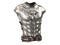 Medieval armor on the body in the style of a lion with large shoulder pads on an isolated white background. 3d