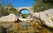 Medieval bridge over the river Spain Catalonia