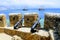 Medieval cannons and the fortress wall of Alanya Castle Alanya, Turkey