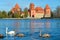 Medieval castle of Trakai, Vilnius, Lithuania, with family of swans