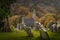 Medieval church and ancient graves in Glendalough Cemetery with autumn forest and mountains, Wicklow, Ireland