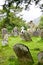 Medieval County Graveyard, Glendalough, county Wicklow, Ireland