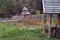 The medieval courtyard. Stockade. Wooden towers in the forest. Green grass