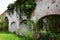 Medieval destroyed walls and plants