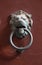 Medieval door knocker in a form of iron lion head on red background