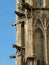 Medieval gargoyles on york minster tower