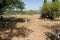 Medieval graveyard village of Menerbes in the Luberon Provence France