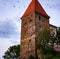 Medieval haunted tower with flying birds