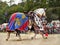 Medieval Horse Costumes