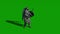 medieval knight fighting with swords and shield isolated on green screen