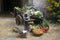 Medieval market stall selling fruit