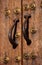 Medieval oak door and bronze handles. Caceres, Spain. UNESCO World Heritage Site.