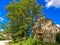 Medieval ruined castle under the green leaves of a tall tree. Stone brick wall, wooden doors. Ancient architecture