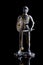 Medieval soldier dressed in armour with shield and weapon in hand, model, led, handpainted